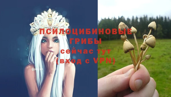 МДМА Богородск