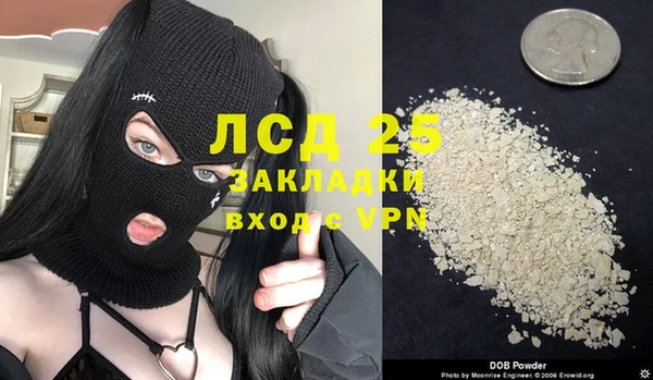 экстази Бородино