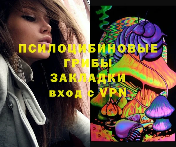 экстази Бородино