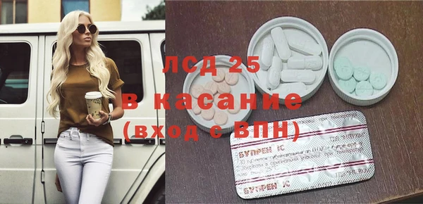 спайс Богданович