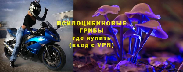 спайс Богданович