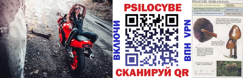 мега онион  Ковдор  Псилоцибиновые грибы прущие грибы 